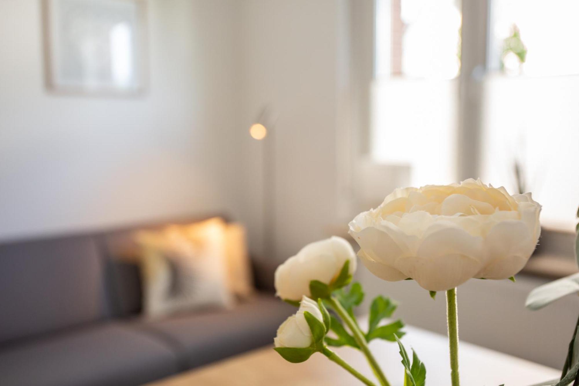 Апартаменты Boardinghouse44 Георгсмариенхютте Экстерьер фото