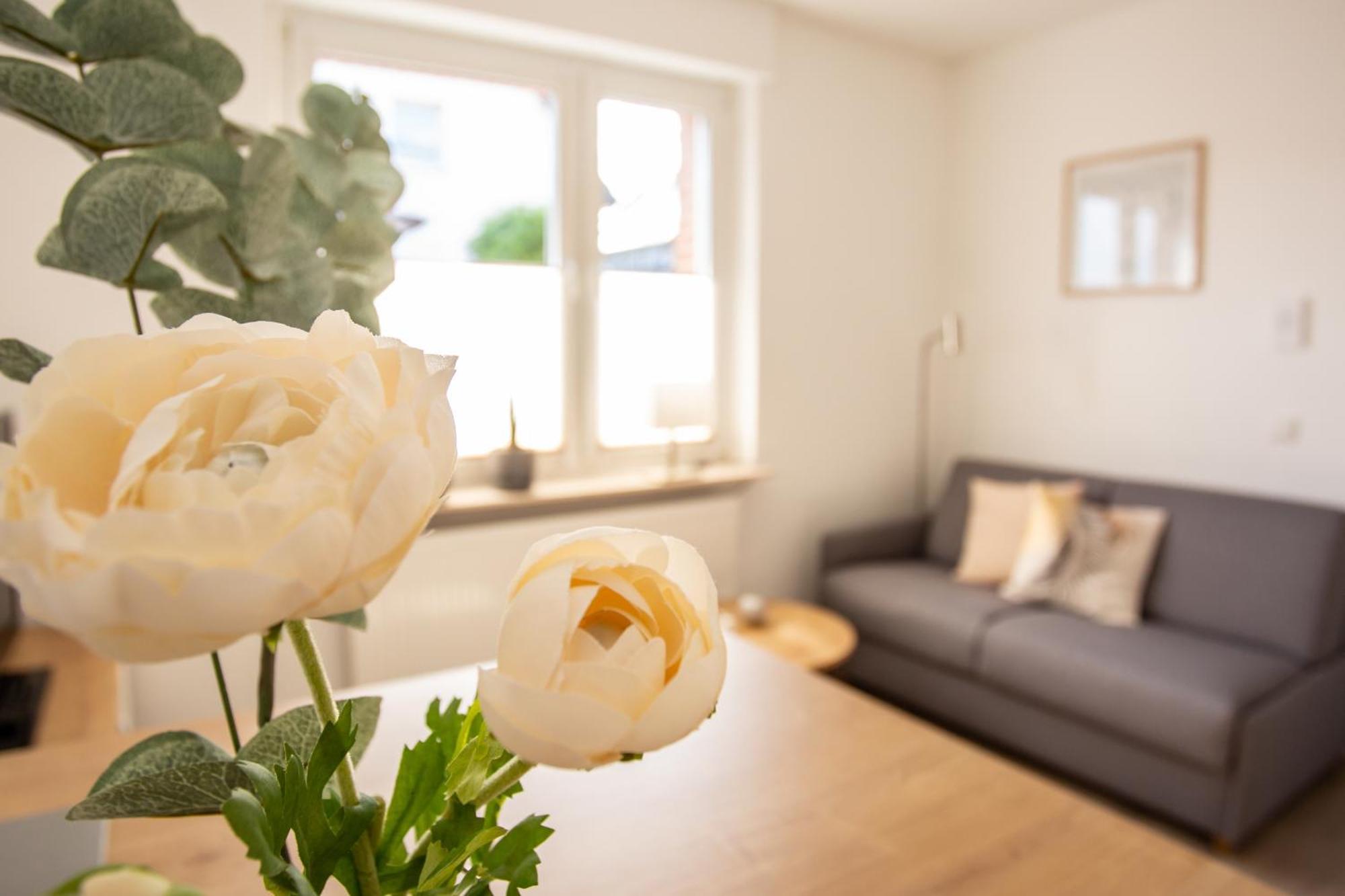 Апартаменты Boardinghouse44 Георгсмариенхютте Экстерьер фото